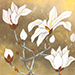 Ryuun Okuda Gallery